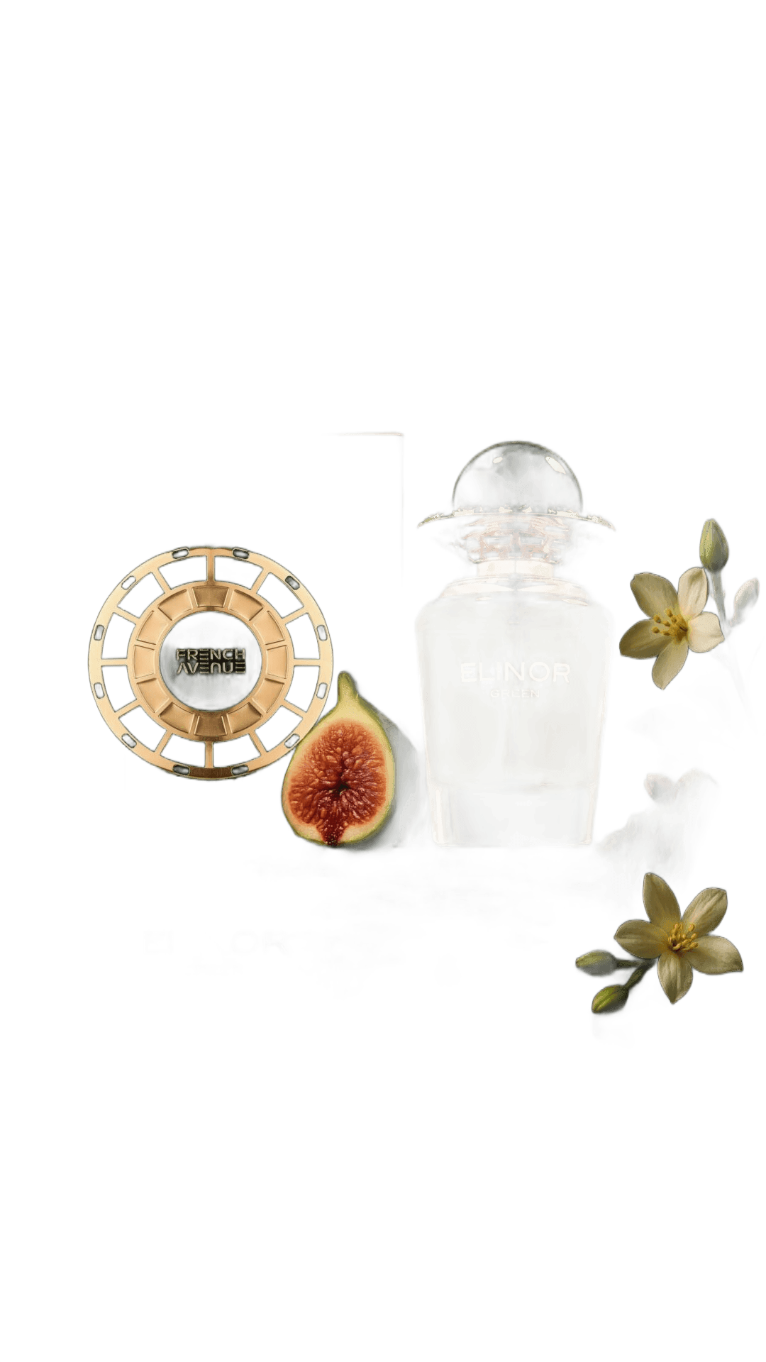 Elinor Green Eau de Parfum 100ml