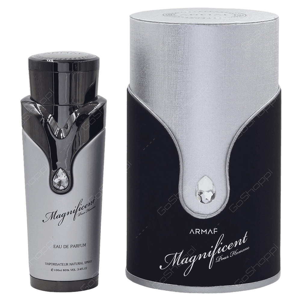 Magnificent Pour Homme di